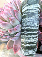 Load image into Gallery viewer, Zebra Stone CrystalTtower
