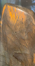 Load image into Gallery viewer, Labradorite Large Freeform 1.129 Kilo
